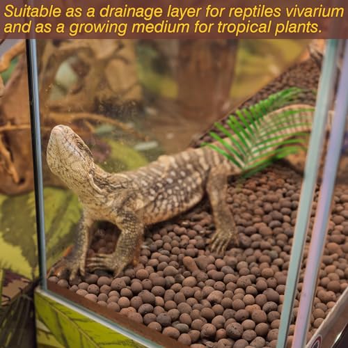 ZeeDix 2 LBS Reptile Substrate Leca Balls - 100% Organic Expanded Clay Pebbles, Ideal Bioactive Terrarium Clay Balls Substrate for Reptile Terrarium Tank, Bearded Dragon, Tortoise, Gecko, Snake & Frog - color: 2LBS