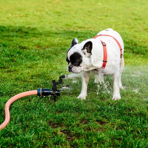 4 Pack Reptile Mister Nozzles，Reptile Misting Nozzles 1/4'', Reptile Fogger Fine Mist Nozzles for Full Water Coverage, Replacement Micro Spray Nozzles