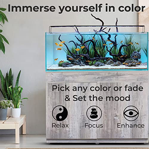ColorCast Aquarium Background LED Light Kit with Frosted Background Film | Smartphone and Voice Control | 24/7 Timers | Alexa and Google Home | for Aquariums, Terrariums and Vivariums | 32"-48" - size: 32" | 32" to 48"