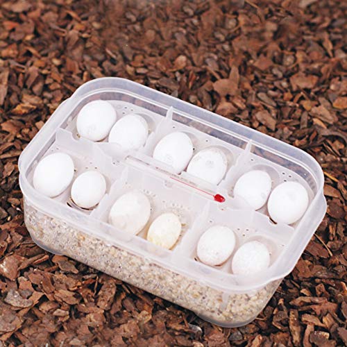 Snakes Lizards Hatchery Box, Highly Transparent Breeding Incubator Tray Hatching Case with Air Circulation Function Suitable for Hatching Reptiles Eggs