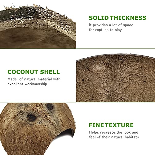 Hamiledyi Reptile Hideouts Natural Coconut Shells Hut Hermit Crab Climbing Toys Gecko Hide Cave Lizard Habitat Decor Plant Leaves Decoration for Spider Snake Chameleon (4Pcs)
