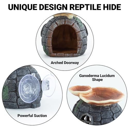 REPTI ZOO Reptile Hide, Multifunctional with Suction Cup, Resin Reptile Hides, and Caves for Reptiles, Gecko, Lizard (Ganoderma Lucidum Shape)