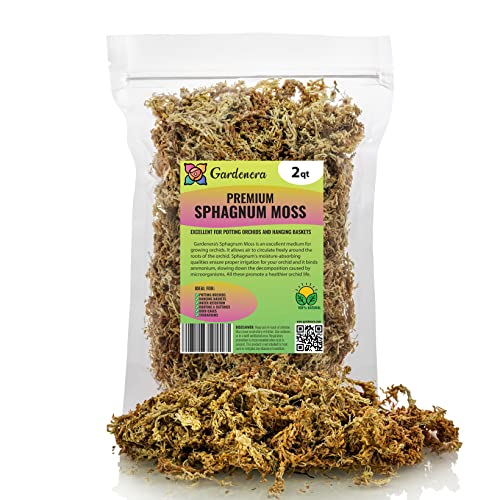 GARDENERA Premium Sphagnum Moss - Organic Hand Mixed New Zealand Long Fibered Sphagnum Moss Orchid - 2 Quart Bag - size: 2 QUART