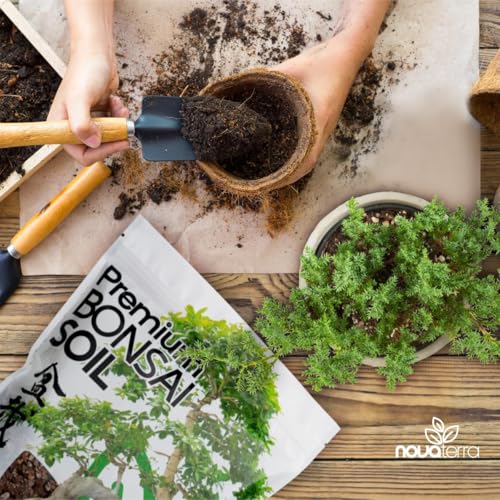 Bonsai Soil Mix Ready to use Tree kit Lotus Seeds for Planting in Water Bonsai pots Wire Tree pots akadama Soil - color: Bonsai Soil