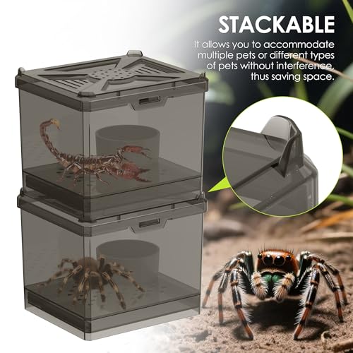 Spider Habitat Kit - Ready-to-Use Box for Small Insects,Dubia Roach, Cockroaches, Crickets, Scorpions, Centipedes, Mantises & Snails 3.74''x3.15''x3.35''(No Assembly Needed)