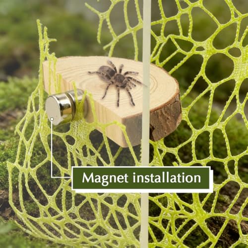 Jumping Spider Accessories Kit – 5 Pcs Set with Mushroom Platforms, and 1 Spider Webs for Climbing, Feeding, and Decorating