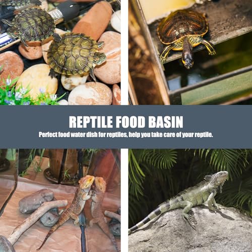Cabilock Reptile Food Bowl with Suction Cup Large Capacity Water Basin Feeding Dish for Geckos Lizards and Crawling Pets Terrarium Feeding Supplies 2pcs