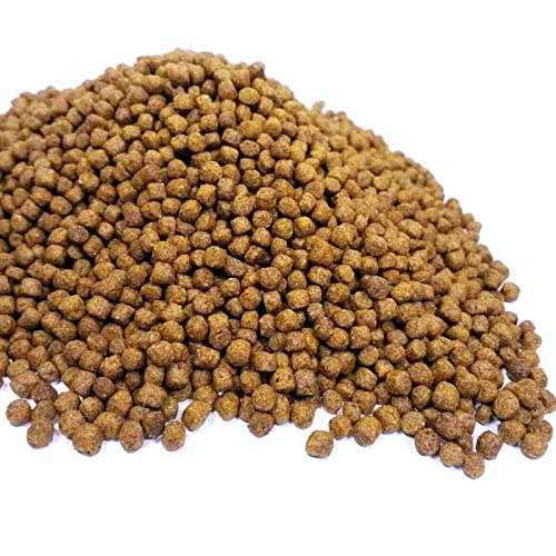 Aquatic Turtle Diet, 5/32" Round Floating Pellets for Freshwater Turtles, Painted, Pond, Red-Eared, Baby Box, Slider Turtles and More.…1-lb & 8oz Med Jar - size: 1.5 Pound (Pack of 1)
