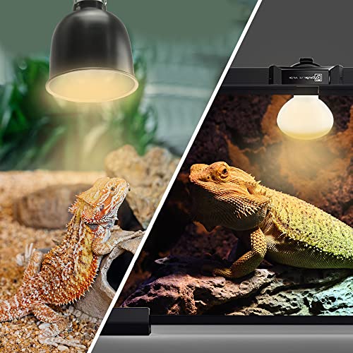 LUCKY HERP New Upgrade 75W Reptile Heat Lamp Bulb (3rd Gen, Safer), Amphibian Basking Spot Light Bulb, UVA Reptile Daylight Bulb for Turtle, Bearded Dragon, Lizard Heating Use (2 Pack) - color: 3rd Gen 75w Heat Lamp, size: 3rd Gen Reptile Heat Lamp