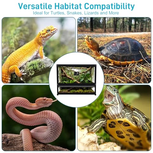 Reptile Terrarium Glass Enclosure 22" × 14" × 12", Front Opening Tank with Mesh Top, Easy Assembly for Small Reptiles, Geckos, Lizards, Snakes, Turtles & More - size: 22" x 14" x 12"