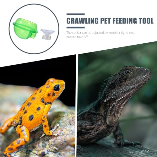 Cabilock Reptile Food Bowl with Suction Cup Large Capacity Water Basin Feeding Dish for Geckos Lizards and Crawling Pets Terrarium Feeding Supplies 2pcs