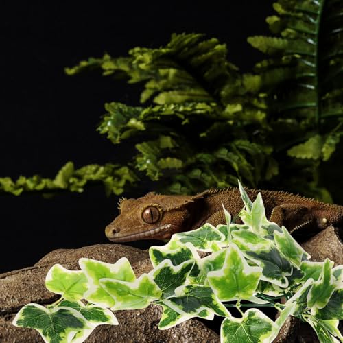 DOITOOL Artificial Reptile Plants Hanging Vine with Suction Cup, Lifelike Amphibious Habitat Decor for Turtle and Reptile Terrariums, Simulated Climbing Leaf Pendant for Aquarium