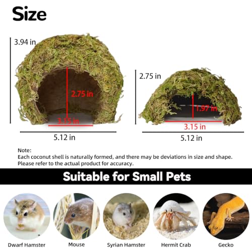 kathson 2Pcs Hamster Hideout, Hamster House, Natural Mossy Coconut Hut, Pet Hiding House, Small Animal Cage Accessories for Mouse Mice Rat Guinea Pigs Reptiles
