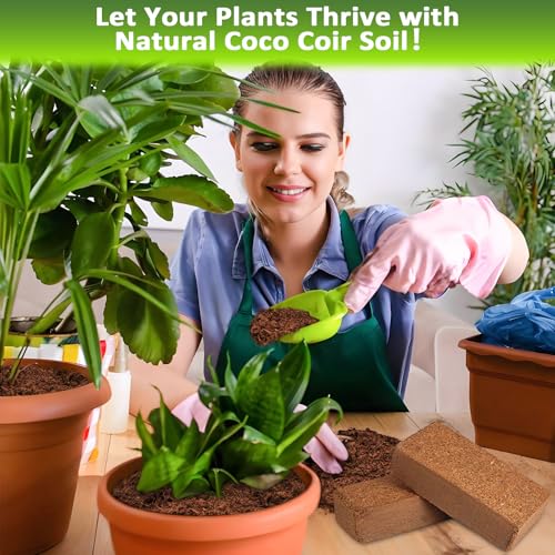 Legigo 6 Pack Premium Coco Coir Brick for Plants- 100% Organic Compressed Coconut Coir Bricks Starting Mix, Coco Coir Fiber Coconut Husk for Planting, Gardening, Potting Soil Substrate, Herbs - color: Pack of 6