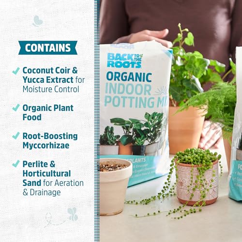 Back to the Roots 100% Organic Indoor Potting Mix (6 Quart), Promotes Healthy Houseplant Growth, Made in The USA - size: 6 Quart, style: Indoor Soil
