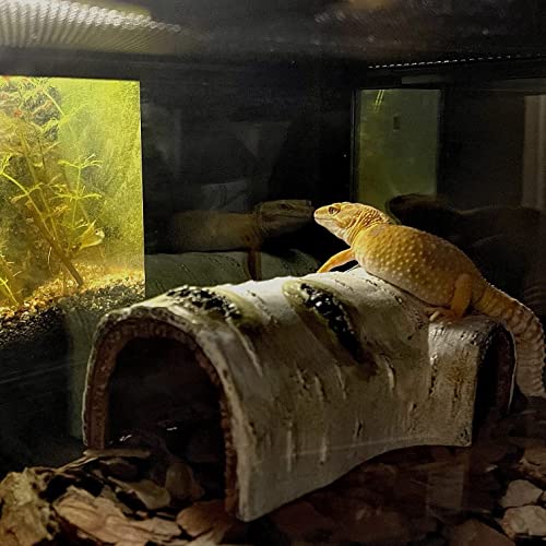 Reptile Hides and Caves Birch Tree Bark Trunk Habitats Decor Aquarium Decoration Wood for Lizard Geckos Snake Spiders Frogs Turtle (Small) - style: Small