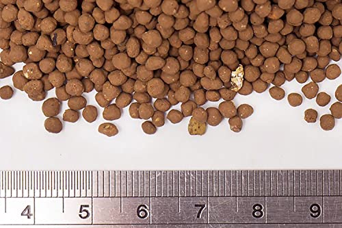 Ultum Nature Systems Controsoil - Freshwater Aqua Soil Substrate for Fish, Shrimp, Live Plant Propagation and Aquascaping - 6.8pH Low Ammonia, Volcanic Ash - Brown, Fine (1 Liter) - color: Brown - Fine, size: 1 Liter (0.9 kg)