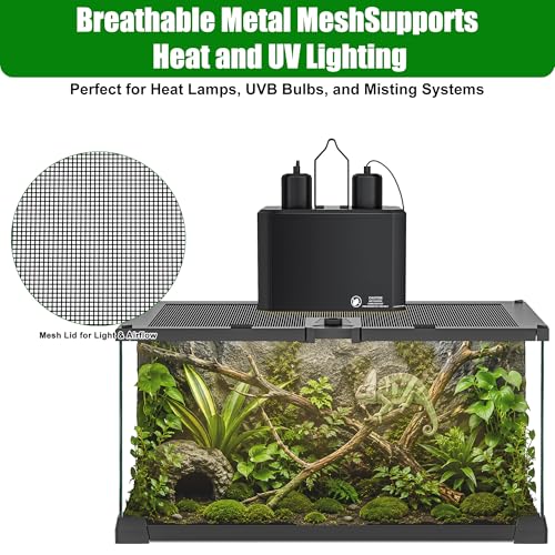 Reptile Terrariums Mini Glass Tank 12" x 8" x 6" Habitat, Top-Opening Mesh Lid with Latch, 360° Clear View, Ventilated Enclosure for Jumping Spiders, Tarantulas, Froglets & Isopods - size: 12" x 8" x 6"