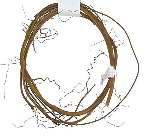 NATURALISTIC FLORA FLEXIBLE HANGING VINE