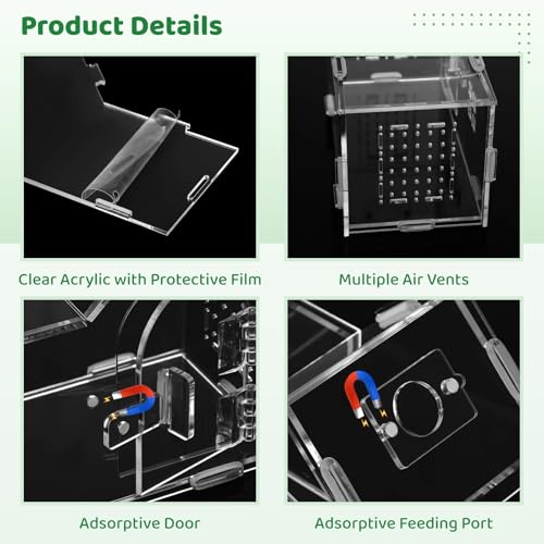Large Jumping Spider Acrylic Enclosure, Clear Acrylic Spider Habitat Box with Adsorptive Door Feeding Hole, Ventilated Small Reptile Terrarium for Small Lizard Snail Cricket Mantis