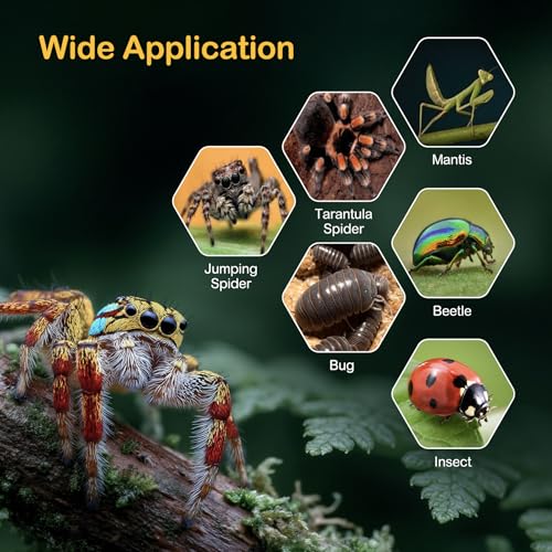 Jumping Spider Enclosure Starter Kit,Escape Proof Forest Terrarium | Praying Mantis Terrariums,Transparent Acrylic Complete Bug Habitat,All In One Arboreal Tarantula Cribs Cage,Insect Container - size: Small