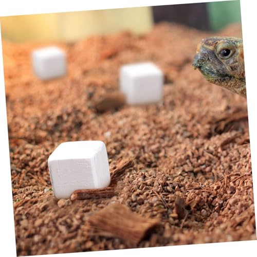 30pcs Natural Mineral Calcium Block for Reptiles and Amphibians Supports Growth and Dental Health for Tortoises Turtles Frogs Lizards Chameleons Provides Essential Trace Elements