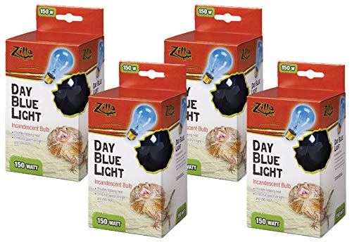 Day Blue Incandescent Bulb