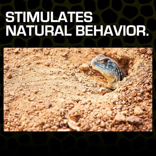 Exo Terra Desert Sand, 10-Pound, Black (Pack of 3) - color: Black, size: 10-Pound (Pack of 3)