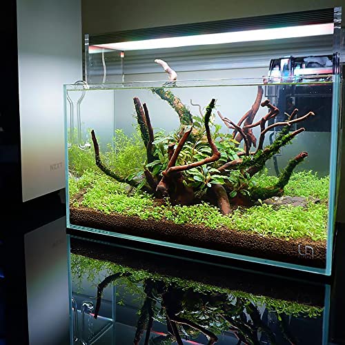 Ultum Nature Systems Controsoil - Freshwater Aqua Soil Substrate for Fish, Shrimp, Live Plant Propagation and Aquascaping - 6.8pH Low Ammonia, Volcanic Ash - Brown, Extra Fine (1 Liter) - color: Brown - Extra Fine, size: 1 Liter (0.9 kg)
