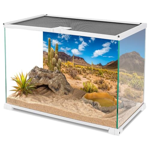 AWERT 30x18 inches Reptile Habitat Background Blue Sky Oasis Cactus Desert Terrarium Background Vinyl - size: 30x18in/75x45cm