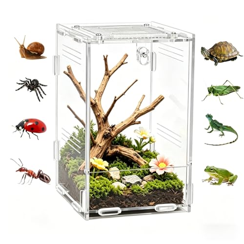 Clear Acrylic Reptile Terrarium with Mesh Top for Lighting, Waterproof and Ventilated Enclosure for Small Insect,Jumping Spider, Tarantula, Easy Access Feeding