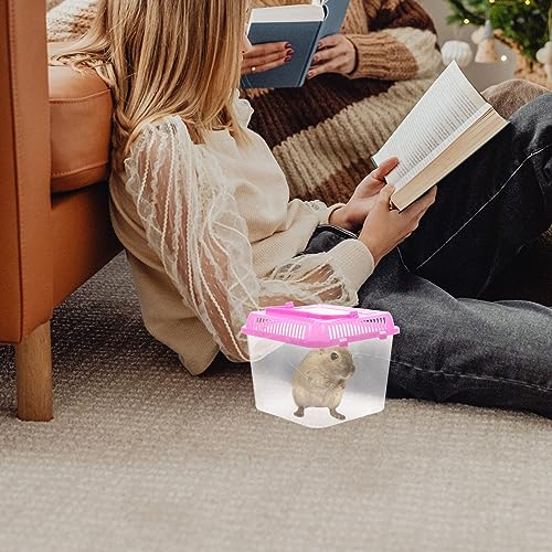 Ipetboom Clear Case 1pc Reptile Feeding Terrarium Pet Portable Small Reptile Cage Fish Tank Handheld Small Pet Box Transparent Tortoise Tank Breeding Case(Color) Containers with Lids