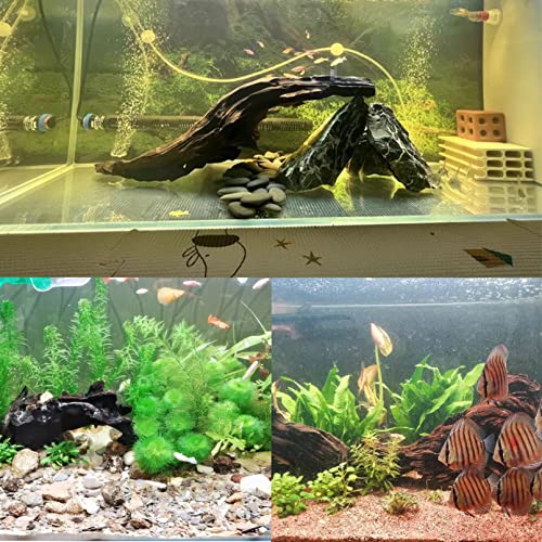Tfwadmx Natural Driftwood Aquarium Decor Wood Branches, 3 Pieces 7-9.5" Fish Tank Driftwood Decoration, Terrarium Mopani Wood for Aquarium Freshwater Reptile Tank - size: Medium: 7-9.5"（3Pcs）