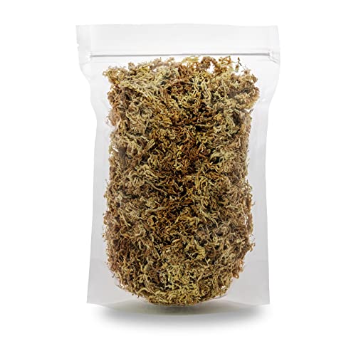 GARDENERA Premium Sphagnum Moss - Organic Hand Mixed New Zealand Long Fibered Sphagnum Moss Orchid - 2 Quart Bag - size: 2 QUART