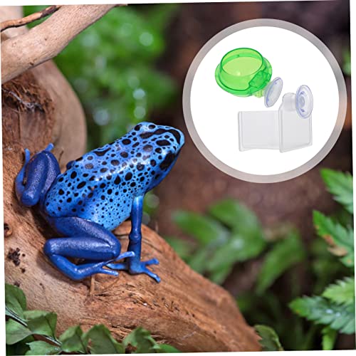 Toddmomy 2pcs Auto Water Feeder Lizard Gecko Feeder Reptile Food Bowl Drinking Basin Suction Cup Pet Supplies for Turtle Snake Spider