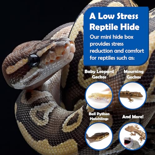 Pangea Reptile Hide Box, A - Mini 5.5"x3"x1.5" | Fits Standard Shoe Case Rack Units, Usable as Snake Tank Accessories, Good for Hatchling Ball Python, Boa, Baby Leopard Gecko - size: A- Mini