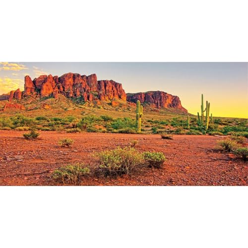 AWERT 30x12 inches Reptile Habitat Background Sky Oasis Mountain Cactus Sun and Desert Terrarium Background Durable Polyester Background - size: 30x12in/75x30cm
