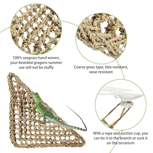 PINVNBY Bearded Dragon Hammock Jungle Climber Vines Flexible Reptile Leaves with Suction Cups Habitat Decor for Climbing, Chameleon, Lizards, Gecko, and Snakes（6 PCS） - size: 6 PCS