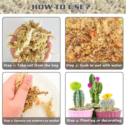 ZeeDix 8 oz Sphagnum Moss for Indoor Plants, Natural Orchid Potting Mix for Repotting, Dried Long Fiber Sphagnum Peat Moss for Carnivorous Plants Succulents Reptile Habitats (Expands to 12 qt) - size: 8 ounces