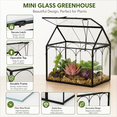 Ferrisland Glass Plant Terrarium Container Wardian Case Indoor Small Succulent Terrarium Planter W/Door for Tabletop Decor DIY (6" L x 4.3" W x 6.3" H) - size: 6" L x 4.3" W x 6.3" H