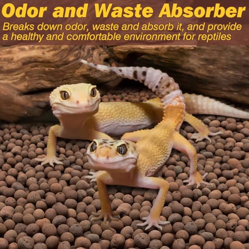 ZeeDix 2 LBS Reptile Substrate Leca Balls - 100% Organic Expanded Clay Pebbles, Ideal Bioactive Terrarium Clay Balls Substrate for Reptile Terrarium Tank, Bearded Dragon, Tortoise, Gecko, Snake & Frog - color: 2LBS