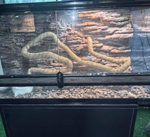 Natural Reptile Vines for Climbing, Jungle Vine for Terrarium Tanks, Reptile Branches for Chameleon, Gecko, Snake, Lizard - color: Brown