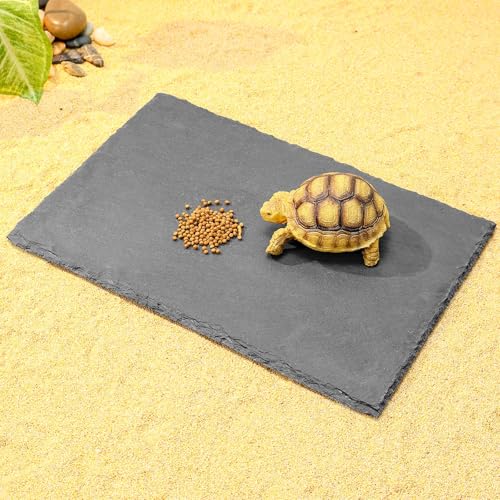 Natural Slate Basking Platform for Reptiles Bearded Dragon Tortoise Turtle Habitat Accessory Heat Retention, Anti-Slip Design, Feeding Tray Functionality, and Superior Water Absorption(12'' x 8'') - size: 12'' x 8''