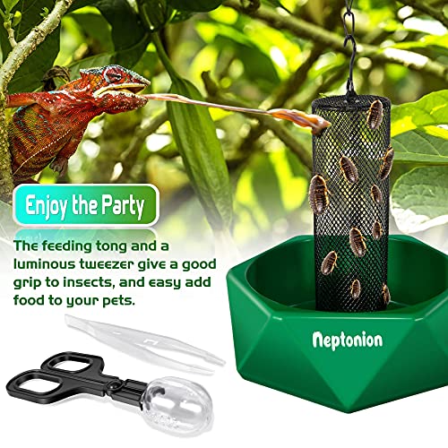 Chameleon Feeding Kit, Come with a Hookable Feeding Bowl and a Reptile Water Feeder, Perfect for Leaving Your pet Whilst on Vacation