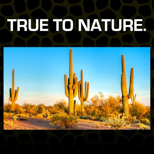 Exo Terra Desert Sand, 10-Pound, Black (Pack of 3) - color: Black, size: 10-Pound (Pack of 3)