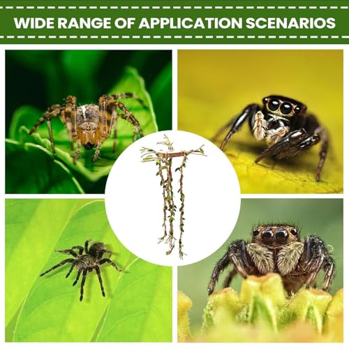 Jumping Spider Enclosure Accessories – Wood Cotton Rope 6x6x1cm 36cm Vine Set | Reptile Cage Climbing Toys for Habitat Enrichment | Natural Terrarium Decoration for Jumping Spiders Lizard
