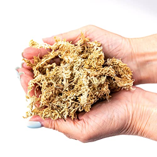GARDENERA Premium Sphagnum Moss - Organic Hand Mixed New Zealand Long Fibered Sphagnum Moss Orchid - 5 Quart Bag - size: 5 QUART