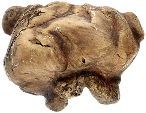 Exo Terra Reptile Cave - Large - color: Multi, size: Large