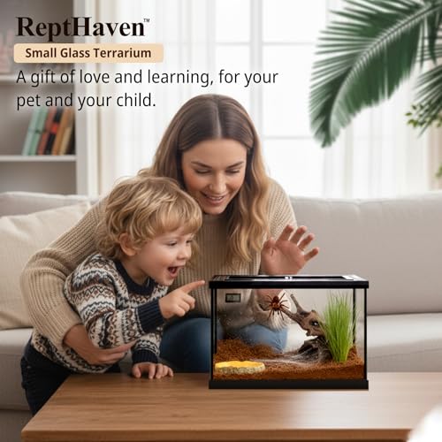 Small Reptile Glass Terrarium Kit 12"x8"x8" Full View Reptile Enclosure Tank for Spiders,Tarantulas,Hermit Crabs,Geckos,Frog,Turtle,Fish and Isopod with Tank Accesssories and Top Openning Door - size: 8"W x 12"D x 8"H