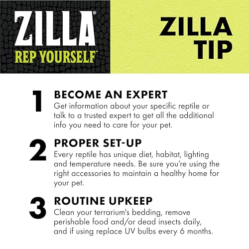 Zilla Rapid Sense UV Detecting Pet Reptile Terrarium Décor, Detects UVB Levels, Crocodile Skull, Medium - size: Medium